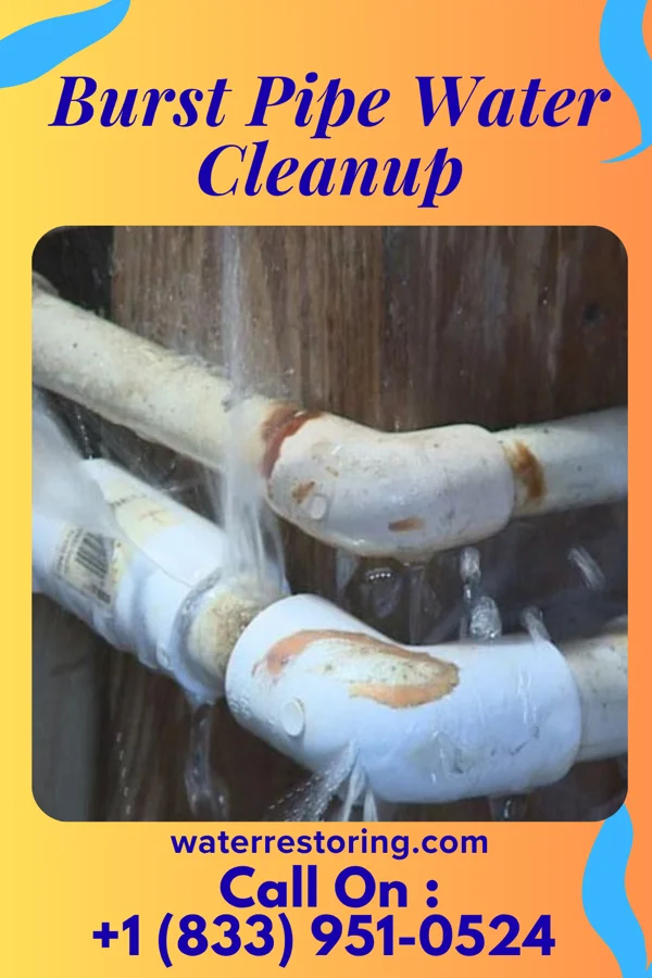 Burst Pipe Water Cleanup in Birdsboro, PA