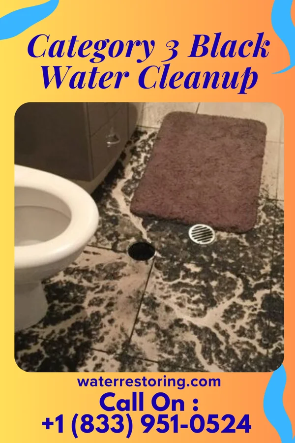 Category 3 Black Water Cleanup in Birdsboro, PA