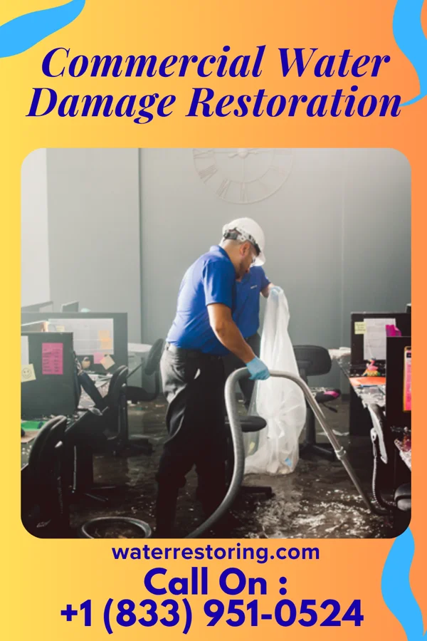Commercial Water Damage Restoration in Birdsboro, PA