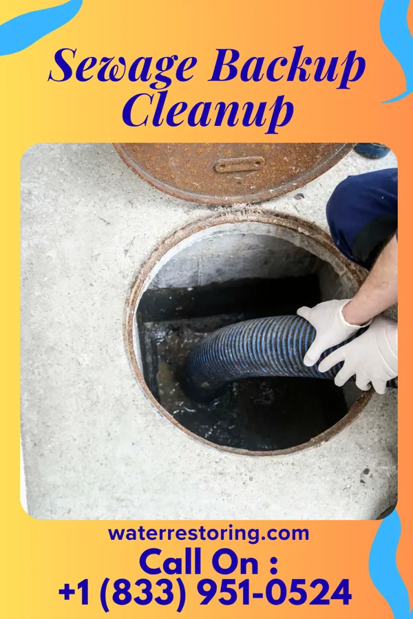 Sewage Backup Cleanup in Birdsboro, PA