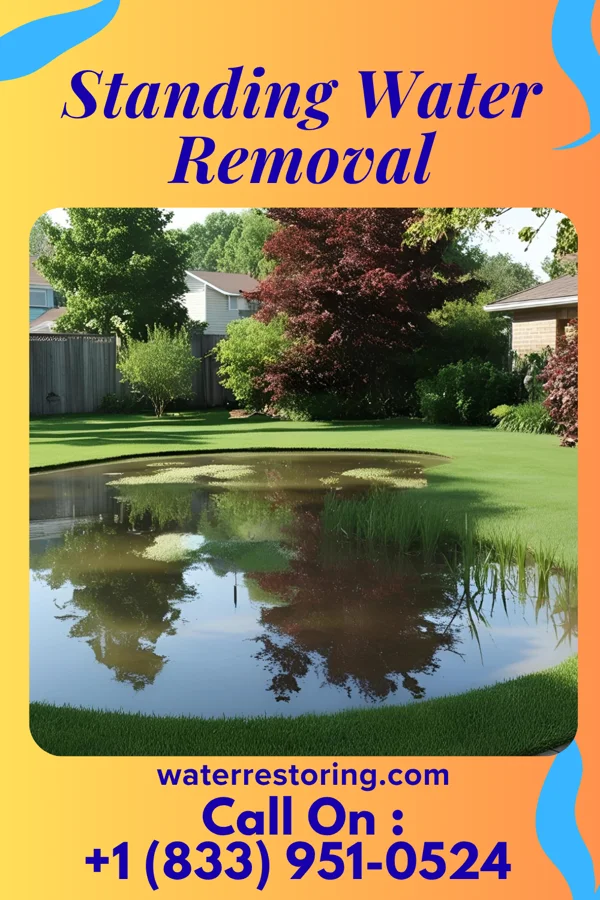 Standing Water Removal in Birdsboro, PA
